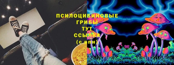 герыч Алексин