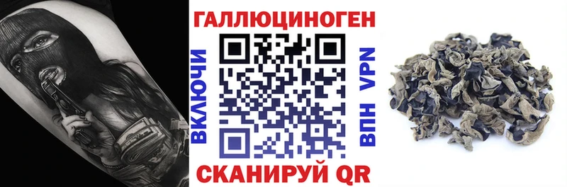 хочу   Болхов  Псилоцибиновые грибы мухоморы 